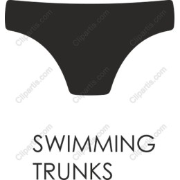 Minimalist Swimming Trunks