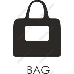 Stylish Bag