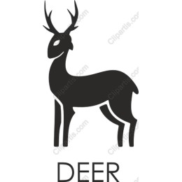 Elegant Deer