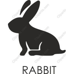 Elegant Rabbit