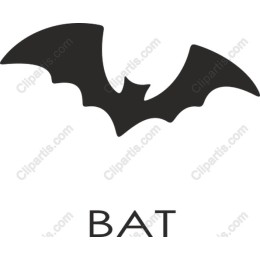 Premium Bat