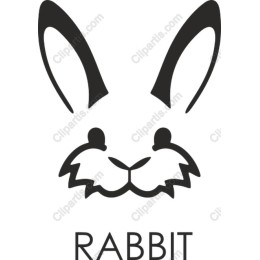 Charming Rabbit