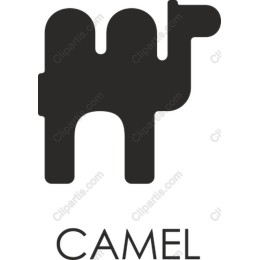 Minimalist Camel