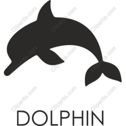 Dolphin