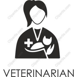Veterinarian Caring for Cat