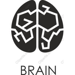 Elegant Brain