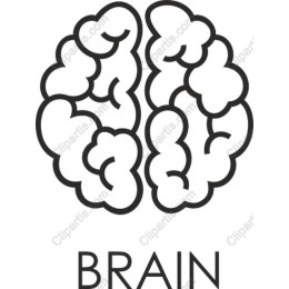 Modern Brain