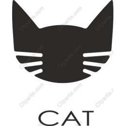 Minimalist Cat