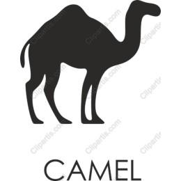 Camel - Elegant Minimalist