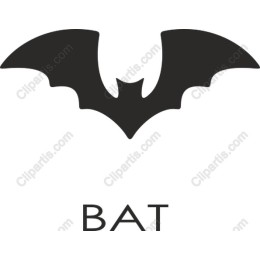 Elegant Bat