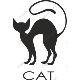 Minimalist Feline