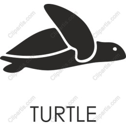 Elegant Turtle Drawing - Available