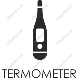 Modern Thermometer