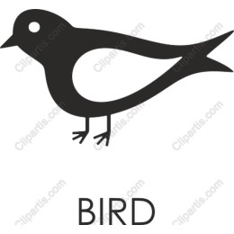 Stylized Bird