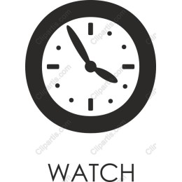 Sleek Watch