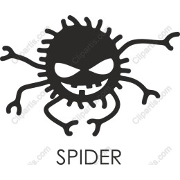Playful Spider