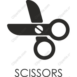 Elegant Scissors