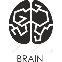 Stylized Brain