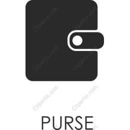 Stylish Purse
