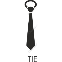 Elegant Tie