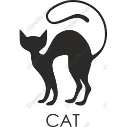 Sleek Cat