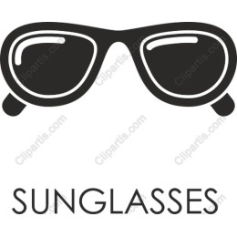 Chic Sunglasses