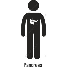Pancreas Health