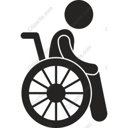 Wheelchair User