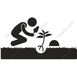 Gardener Planting Sapling