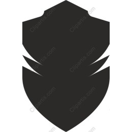 Shield