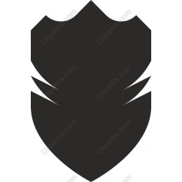 Bold Shield