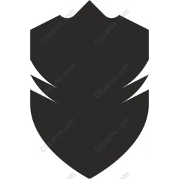 Minimalist Shield
