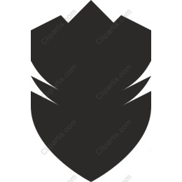 Minimalist Shield