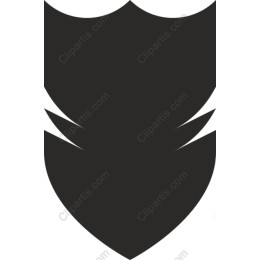 Elegant Shield