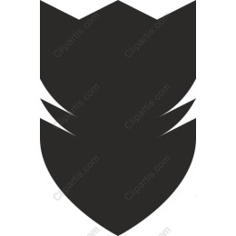 Dynamic Shield