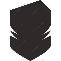 Sleek Black Geometric