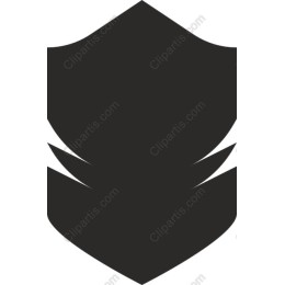 Elegant Shield for Projects