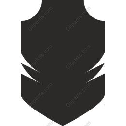 Elegant Black Feather