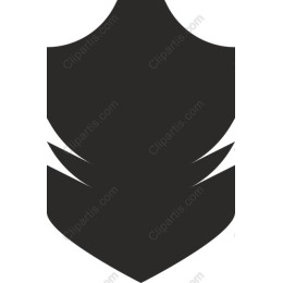 Elegant Minimalist