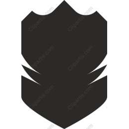 Abstract Shield