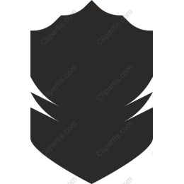 Bold Shield