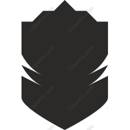 Elegant Black Flower