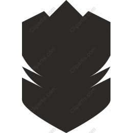 Elegant Minimalist
