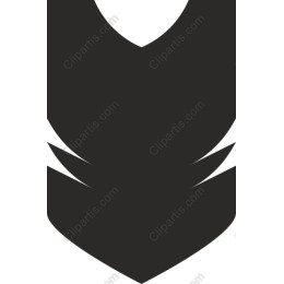 Elegant Black Feather