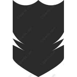 Elegant Shield