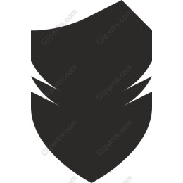Bold Modern Shield