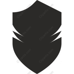 Versatile Shield