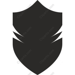 Modern Shield