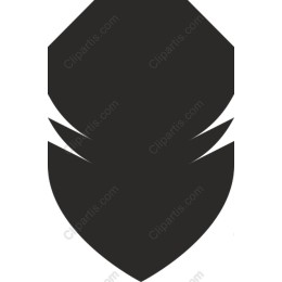 Elegant Black