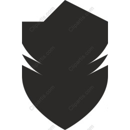 Layered Shield